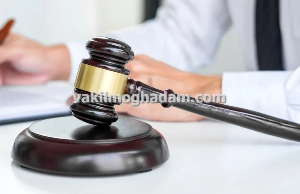وکیل حقوقی دعاوی اداری برای شکایات و اختلافات با نهادهای دولتی در مشهد
